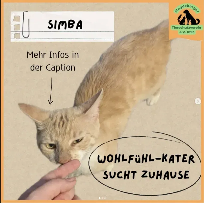 Simba - ekh Simba - ekh